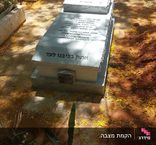 מצבות בבית קברות עם כיתוב בעברית ופרחים צהובים על הקרקע